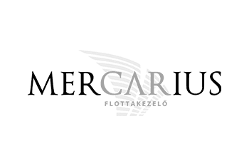 Mercarius logo